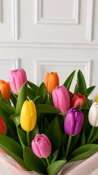 Box Blanco Premium Tulipanes