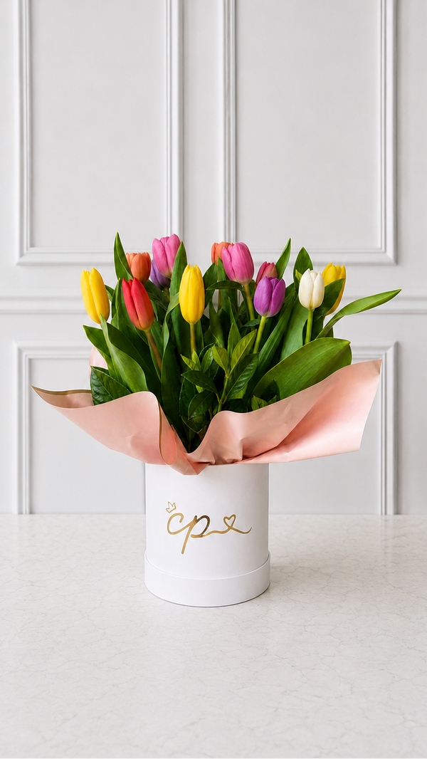 Box Blanco Premium Tulipanes
