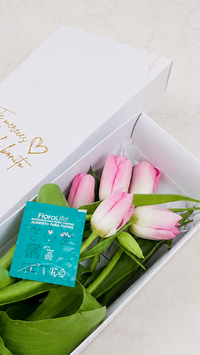 Caja de 5 Tulipanes Rosados