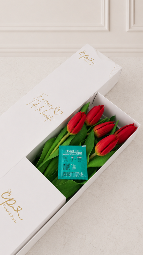 Caja de 5 Tulipanes Rojos