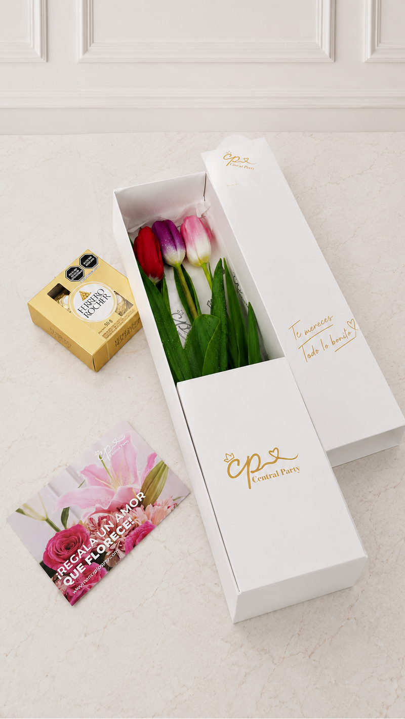 Caja de 3 Tulipanes colores