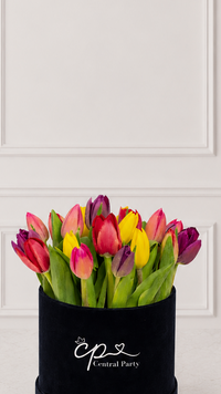 Box Premium Tulipanes