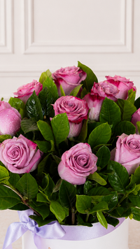 Box 12 Rosas Violetas