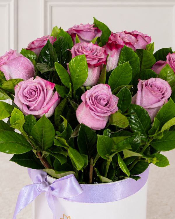 Box 12 Rosas Violetas
