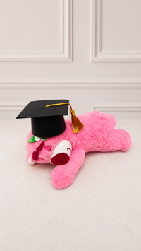 Box Flower Lotso Graduado Regalo Graduación