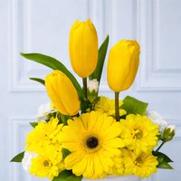 Box 3 Tulipanes Amarillos Mix