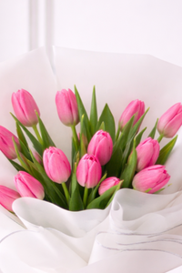 Ramo de 20 Tulipanes Fucsias