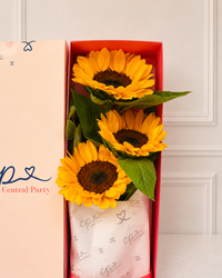 Caja de 3 Girasoles