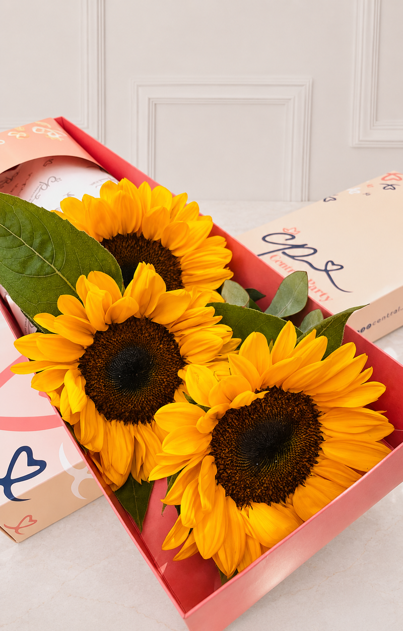 Caja de 3 Girasoles