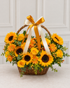 Canasta Primaveral de Girasoles