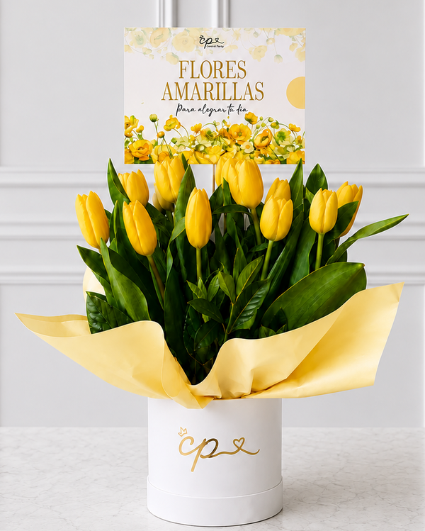 Box 10 Tulipanes Amarillos