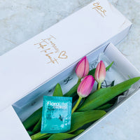 Caja de 3 Tulipanes Fucsias