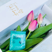 Caja de 3 Tulipanes Fucsias