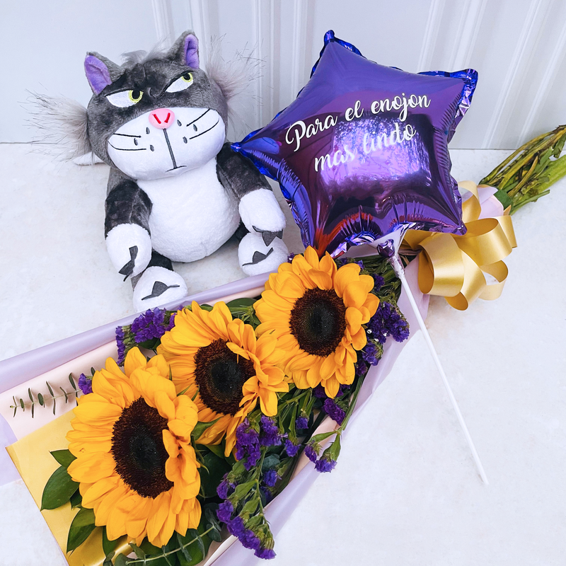 Pack Ramo Girasoles + Gato Gruñon