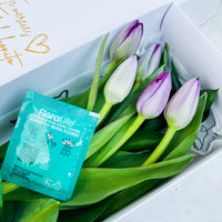 Caja de 5 Tulipanes Lila
