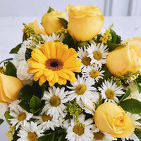 Box Margaritas y Rosas Amarillas