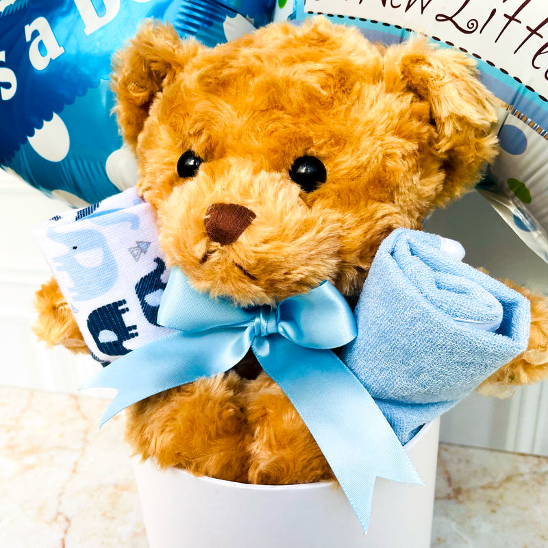 Box Baby Bear