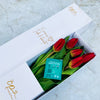 Caja de 5 Tulipanes Rojos