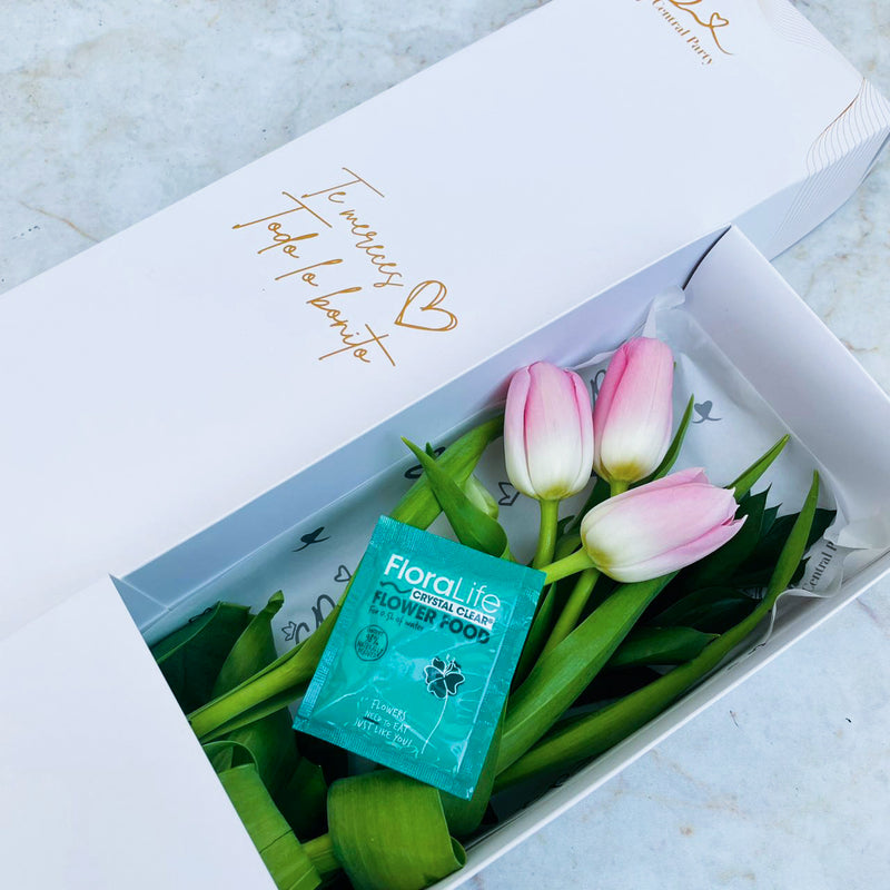Caja de 3 Tulipanes Rosados