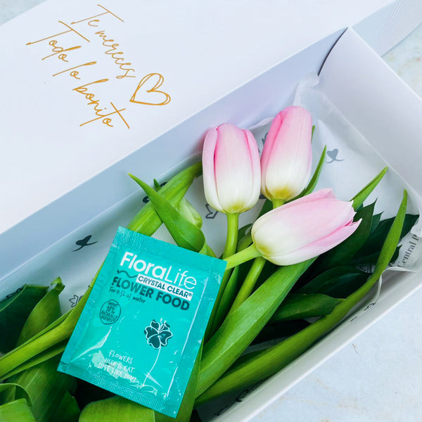 Caja de 3 Tulipanes Rosados