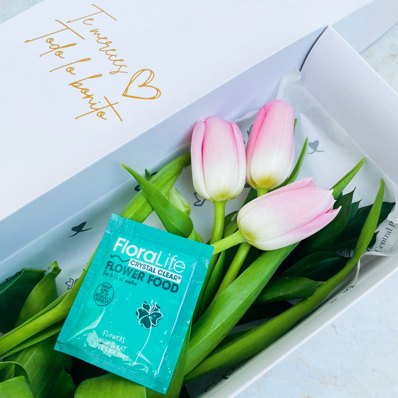 Caja de 3 Tulipanes Rosados