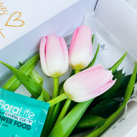 Caja de 3 Tulipanes Rosados