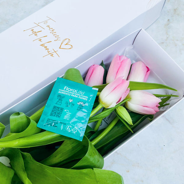 Caja de 5 Tulipanes Rosados