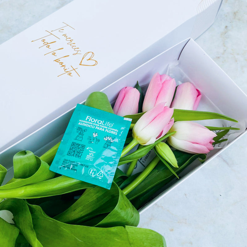 Caja de 5 Tulipanes Rosados