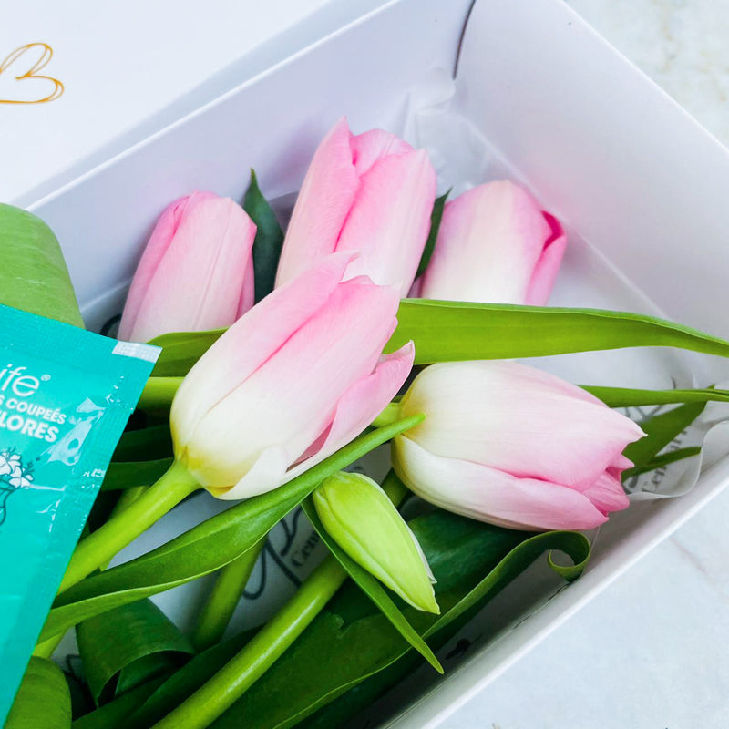 Caja de 5 Tulipanes Rosados