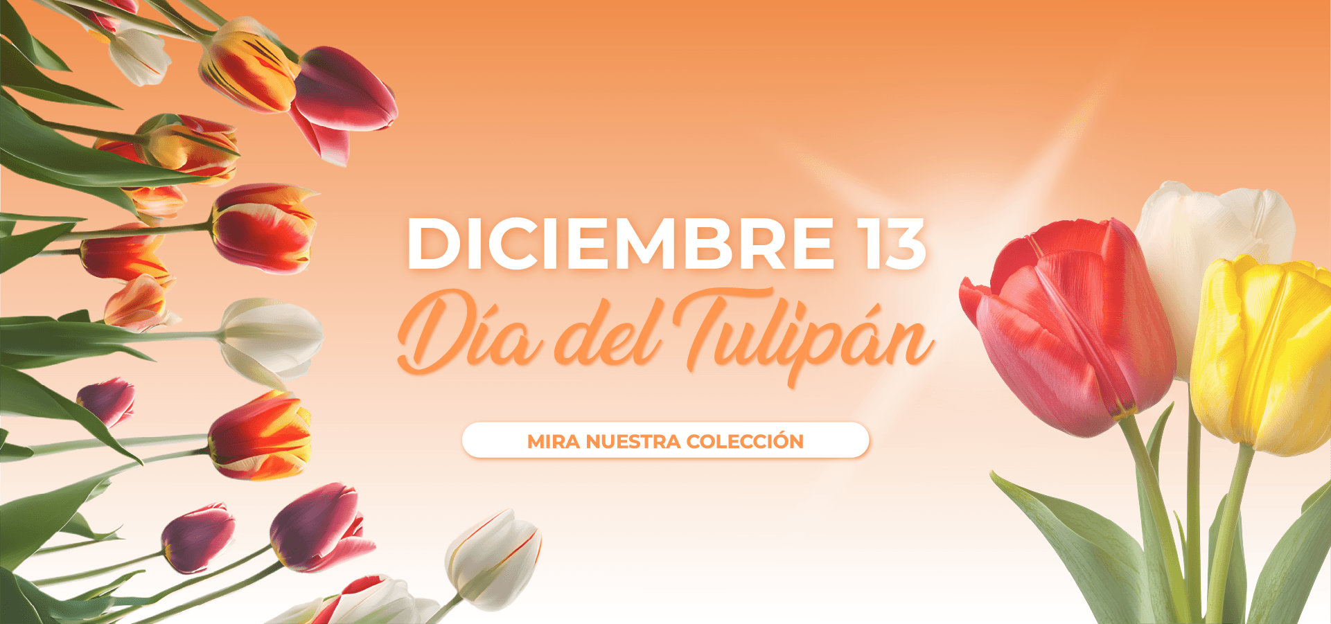 slider image slider_item_nXyamQ