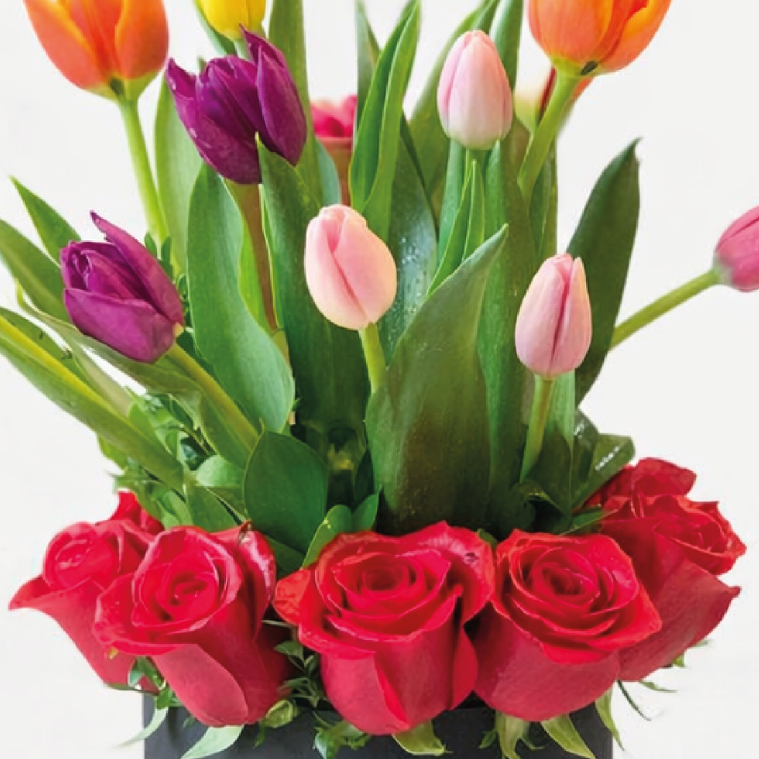 Box Premium Tulipanes y Rosas
