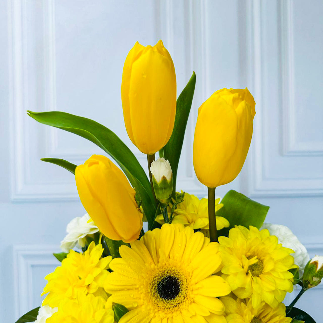 Box 3 Tulipanes Amarillos Mix