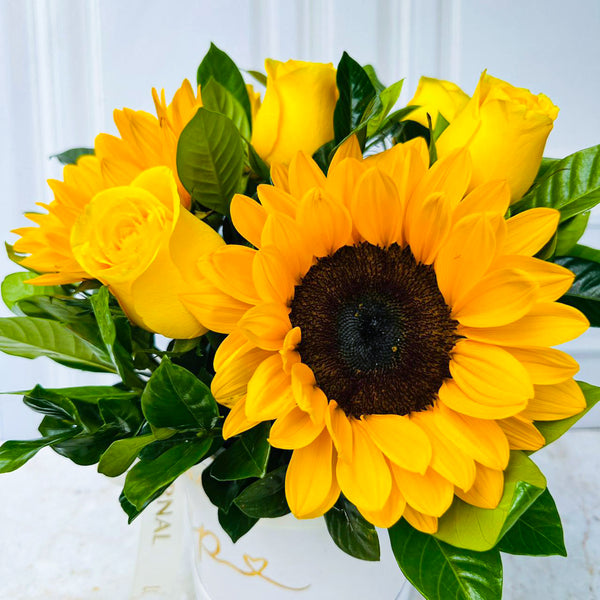 Box Rosas y Girasoles Dúo