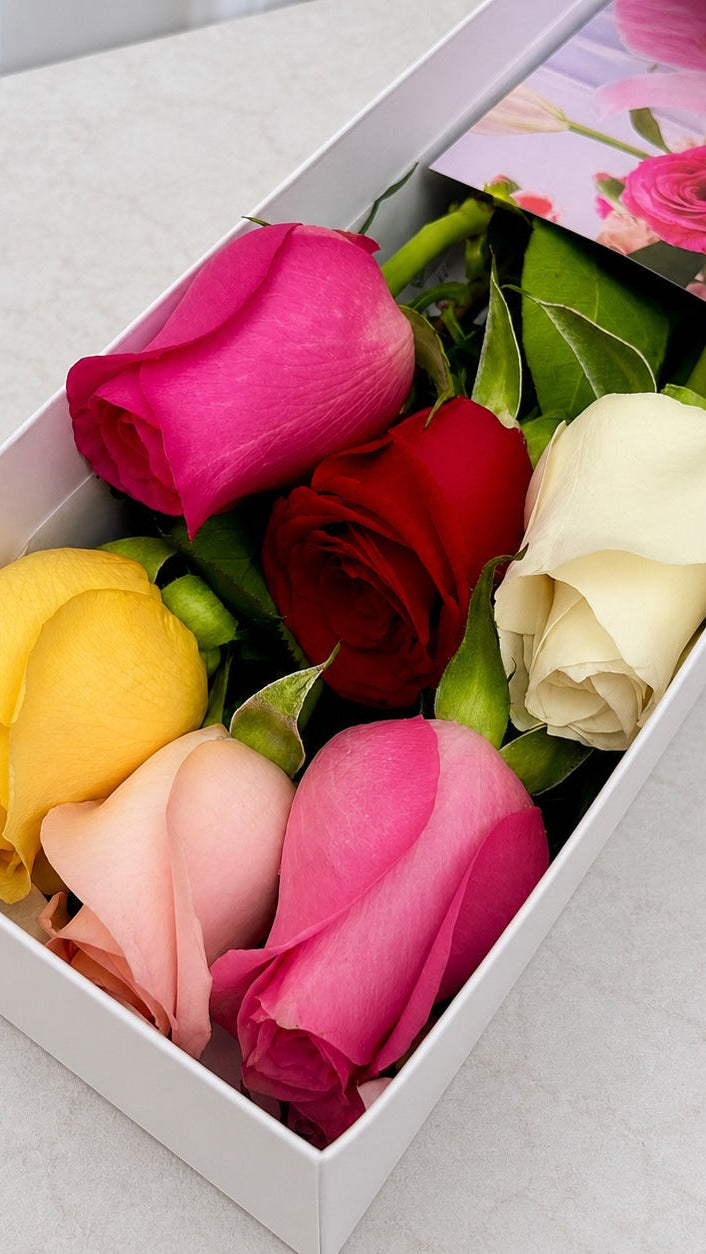Caja de 6 Rosas Colores