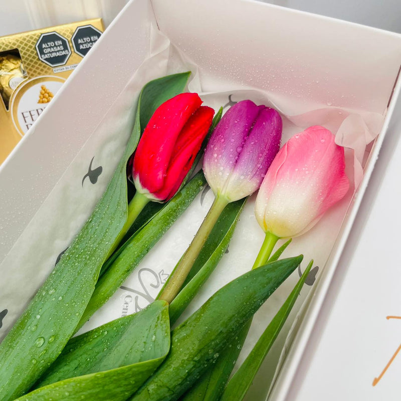 Caja de 3 Tulipanes colores