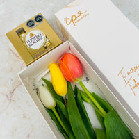 Caja de 3 Tulipanes colores