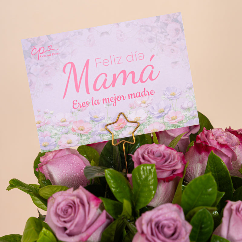 Box 10 Rosas Lilas