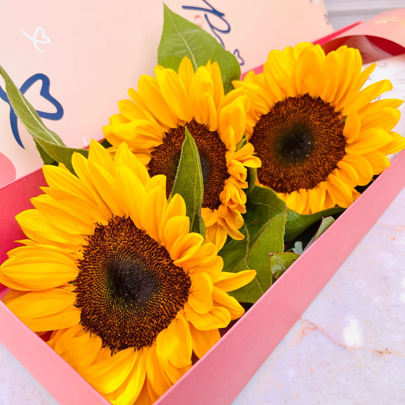 Caja de 3 Girasoles