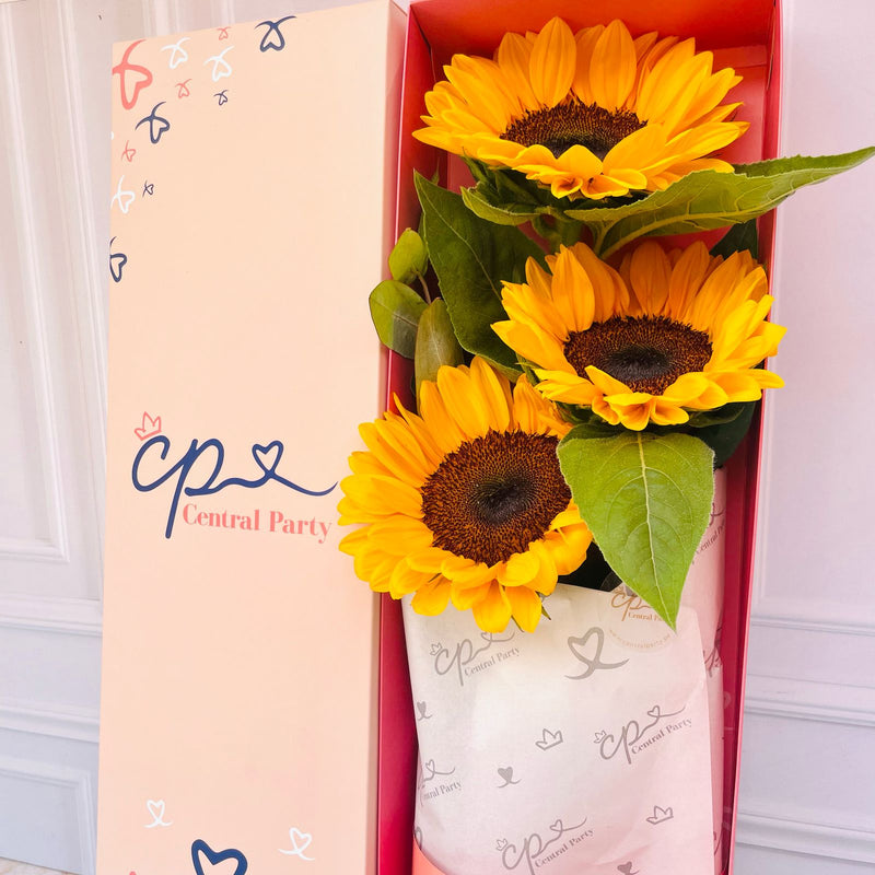 Caja de 3 Girasoles