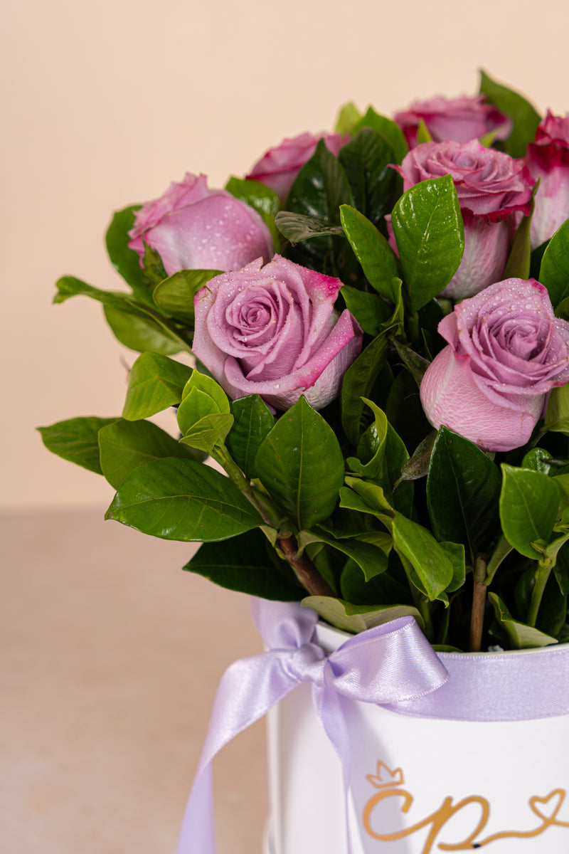Box 10 Rosas Lilas