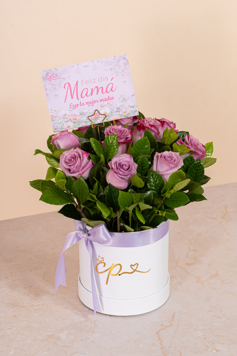 Box 10 Rosas Lilas