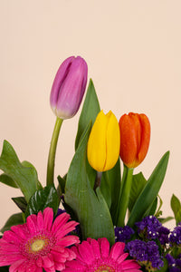 Box 3 Tulipanes Colores