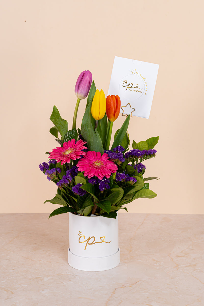 Box 3 Tulipanes Colores