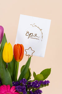 Box 3 Tulipanes Colores