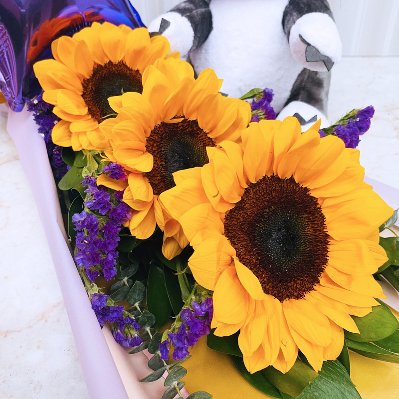Pack Ramo Girasoles + Gato Gruñon