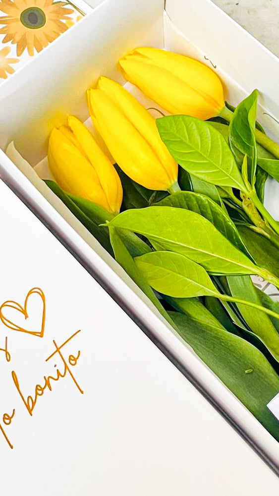 Caja de 3 Tulipanes Amarillos