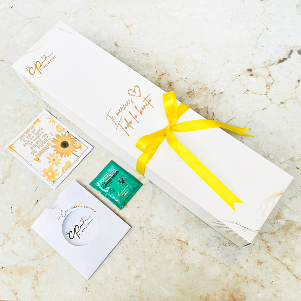 Caja de 3 Tulipanes Amarillos