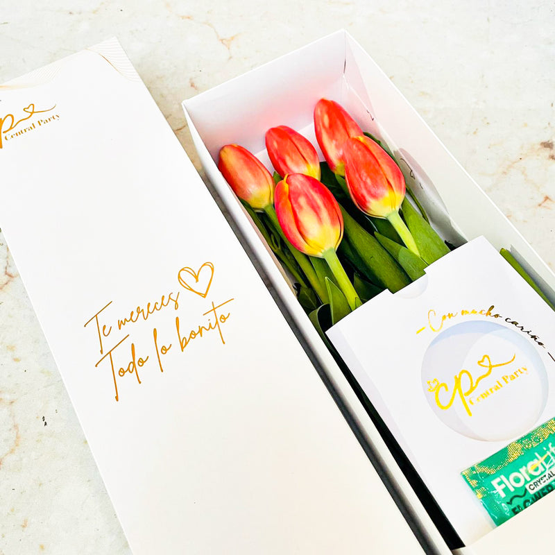 Caja de 5 Tulipanes Naranjas