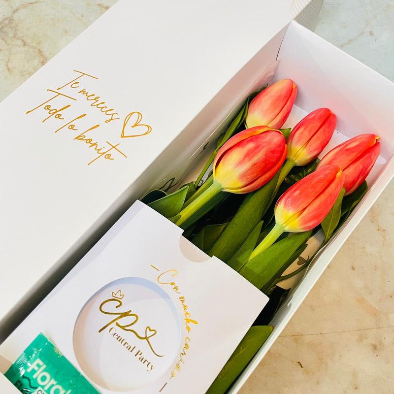 Caja de 5 Tulipanes Naranjas