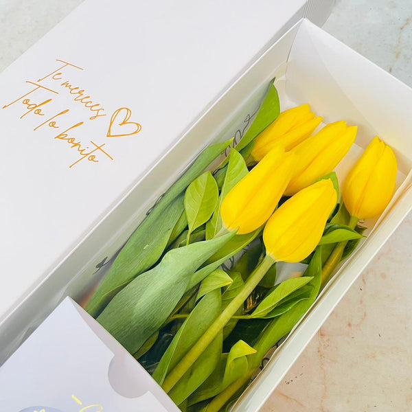 Caja de 5 Tulipanes Amarillos